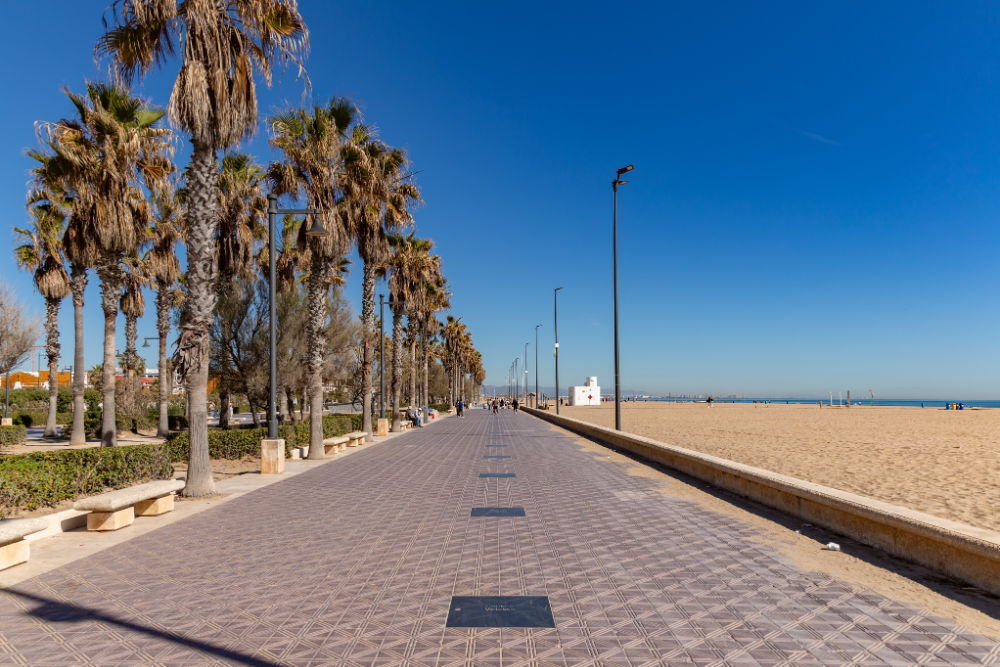 city trips bord de mer (valencia, espagne)